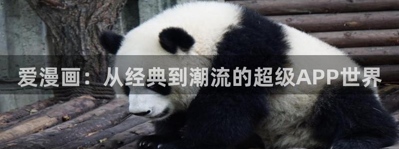 歪歪漫画在线观看.