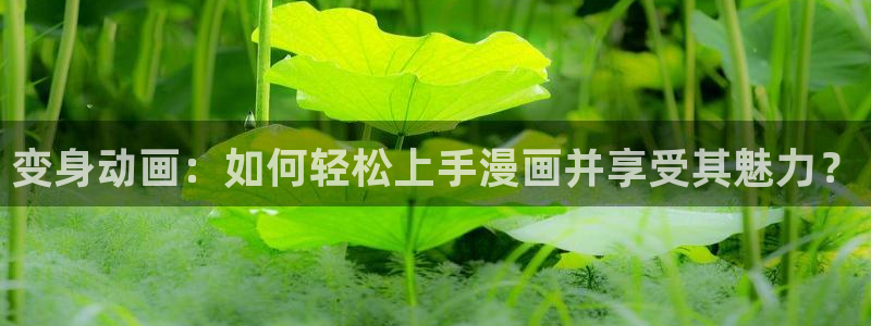 歪歪漫画平台好看的韩国漫画